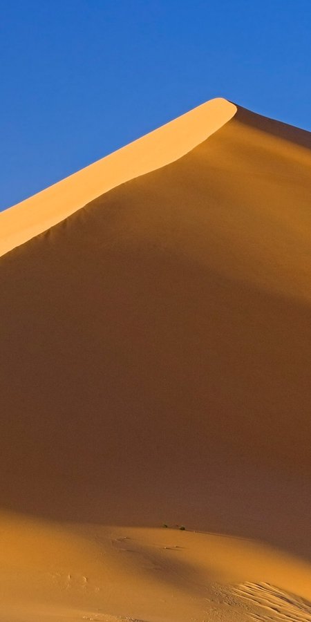 Desert