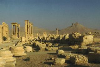 Palmyra