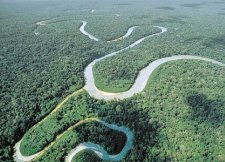 Amazonas in Brasilien